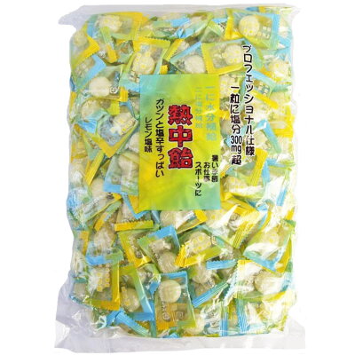 業務用 熱中飴 レモン塩味(1kg)